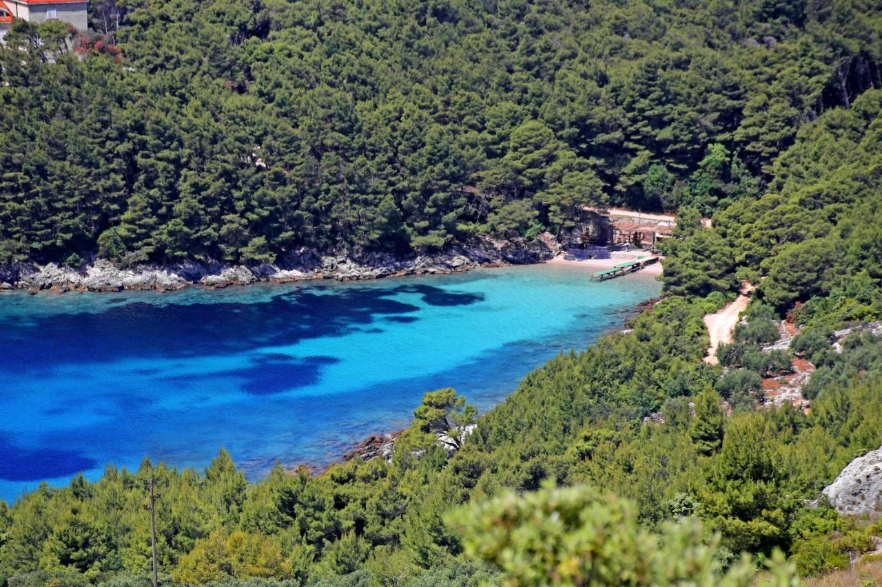 Apartments By The Sea Luka Dubrava, Peljesac - 14187 Putnikovic Экстерьер фото